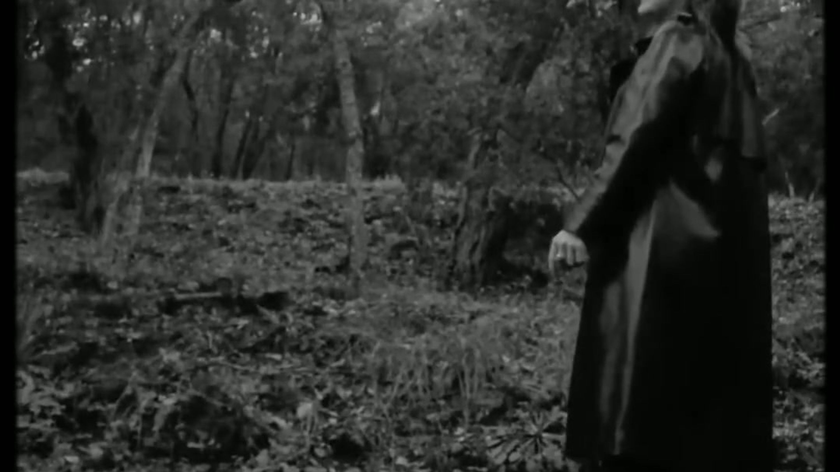 Cover Louane _Donne-moi ton cœur_ BY OD'